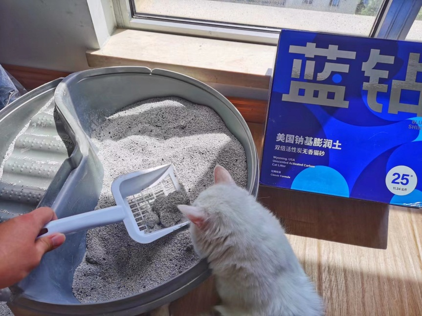 多猫家庭福利,蓝钻猫砂blueshine专治你的选择困难症 - 知乎