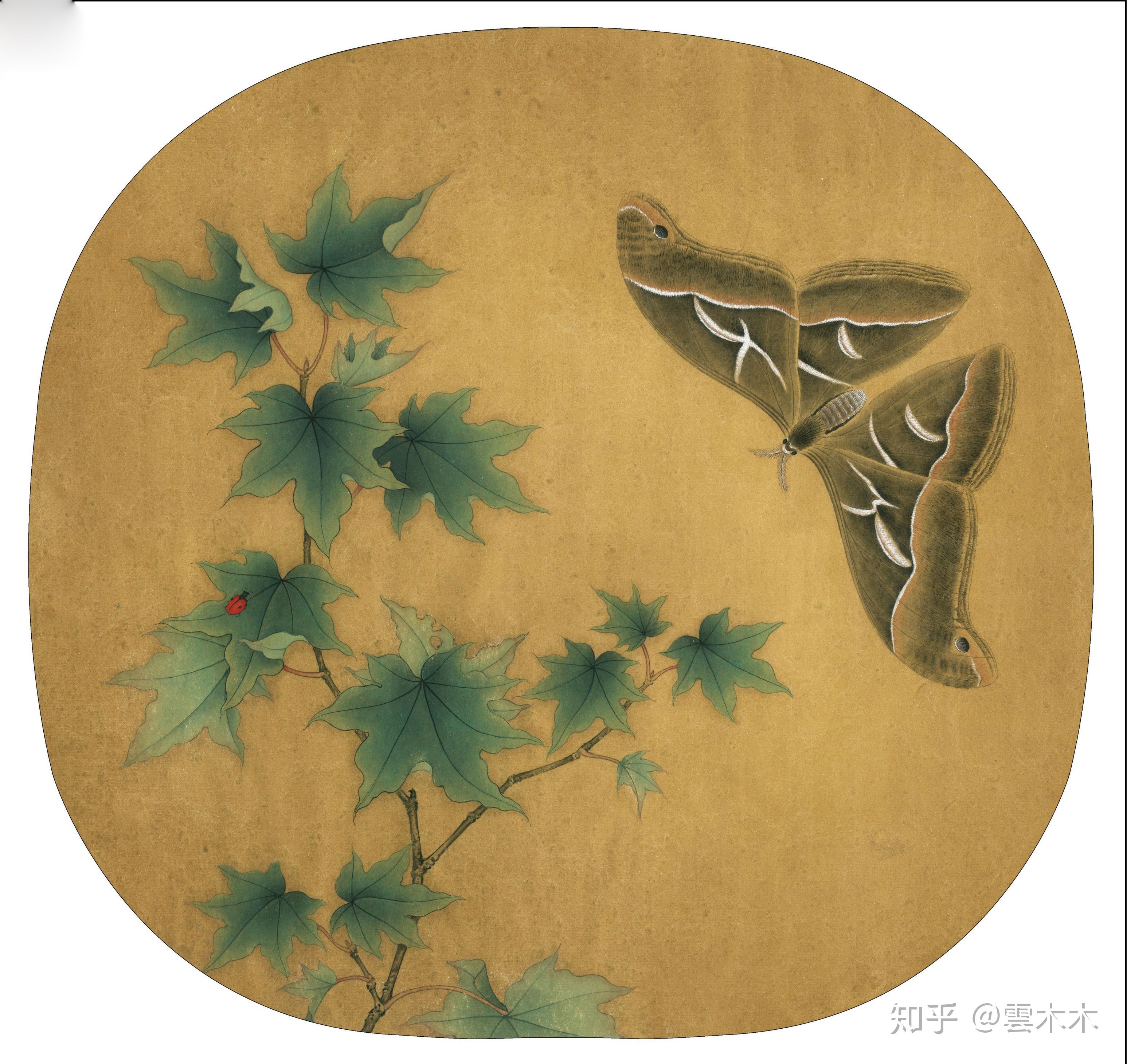 宋小品国画工笔绘画步骤图青枫巨蝶图尺寸3335cm