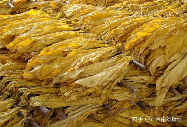 南雄烟丝青梗晒黄特醇南雄三宝简介