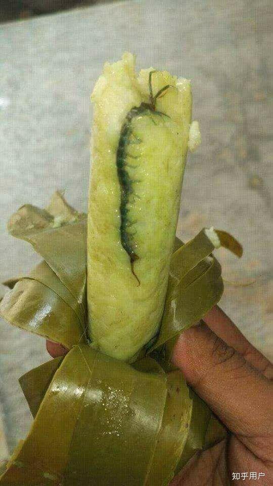 有哪些并非血腥可怕但令人不适的图片