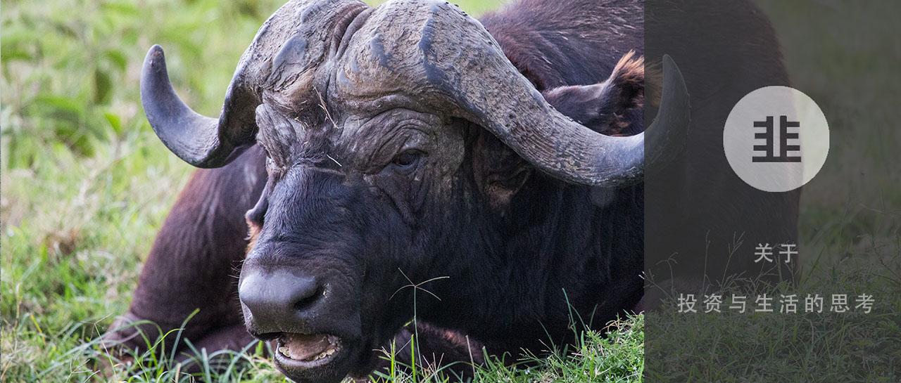 和个人投资者有关的科创板新规要点