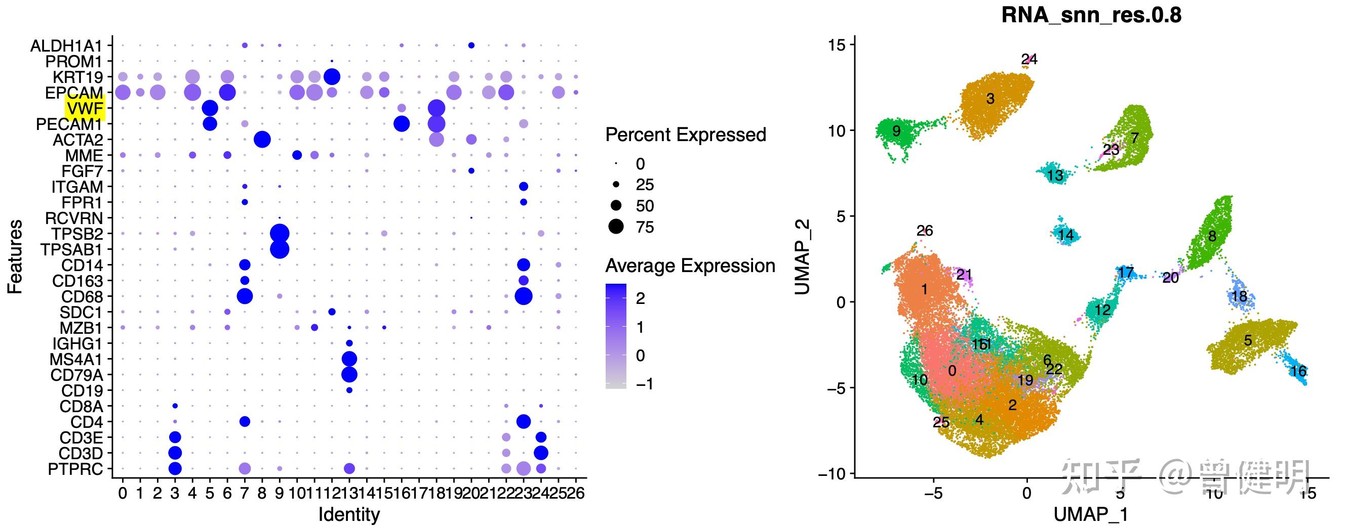 umap的单细胞可视化效果比tSNE好 - 知乎