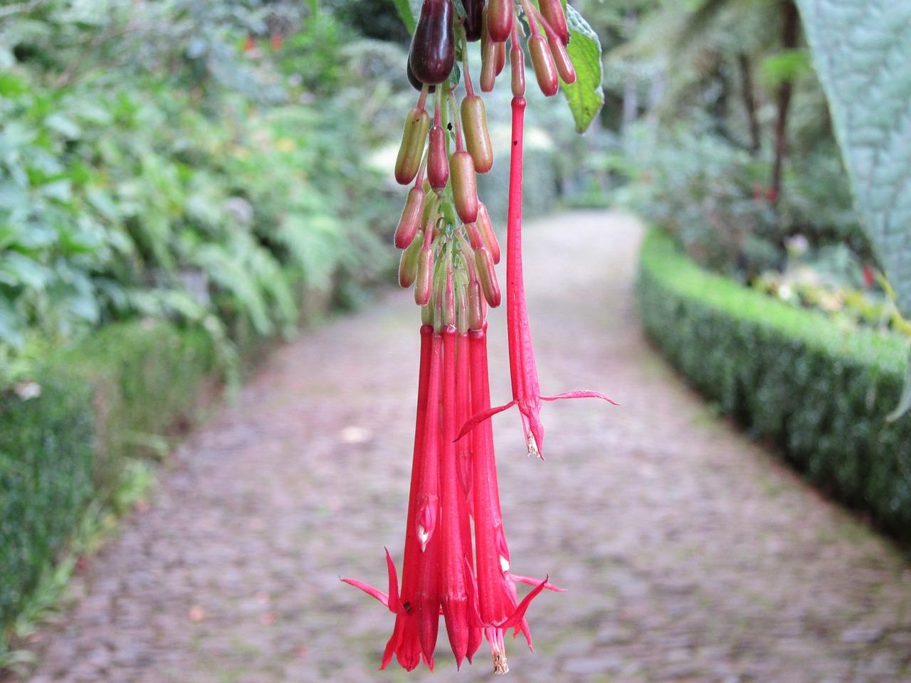 2. 高性价比品牌