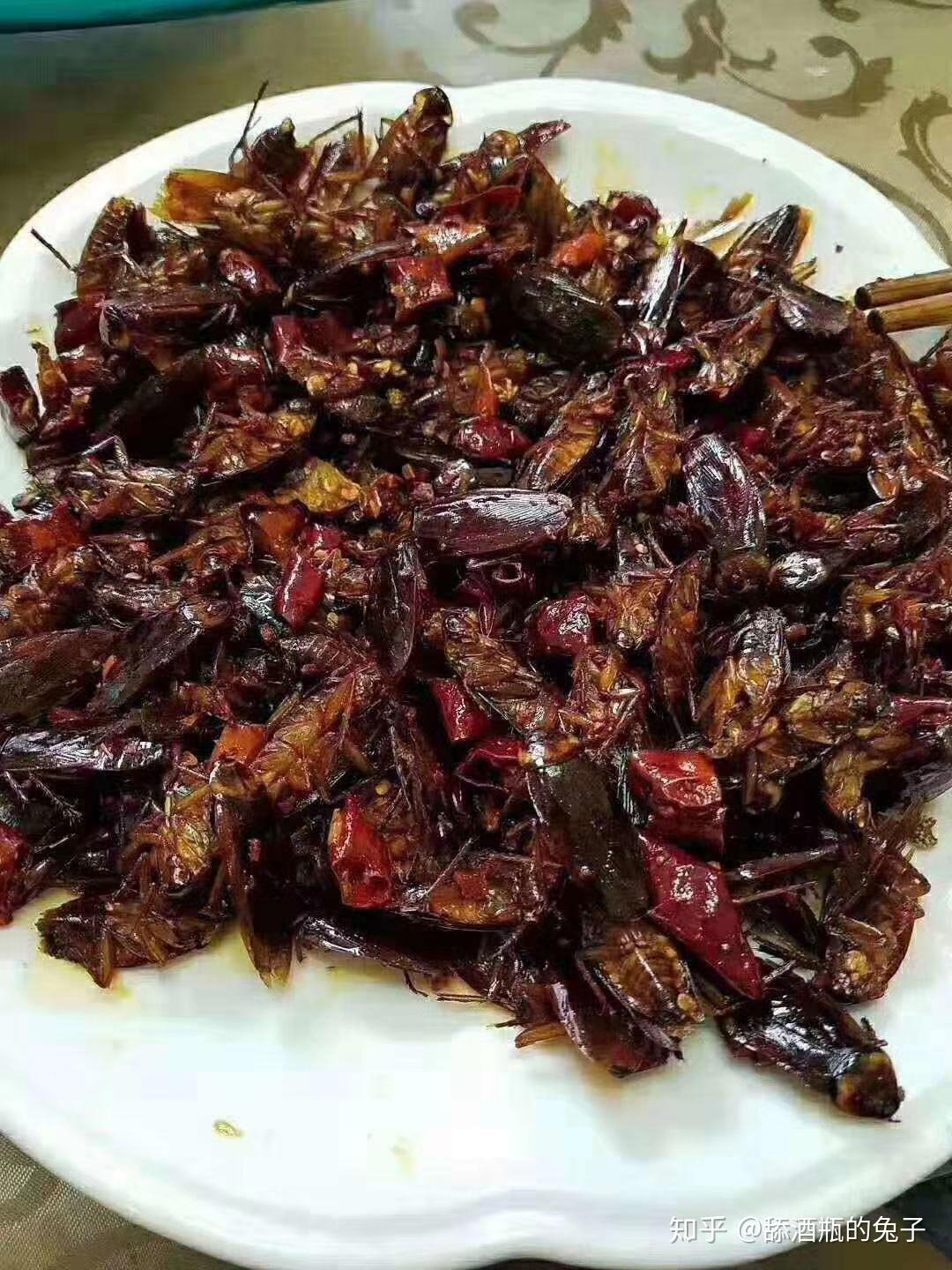 想知道南方的蟑螂是什么样子的