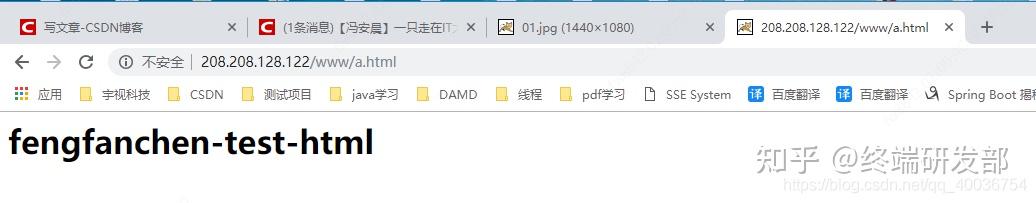 nginx学习,看这一篇就够了!36 nginx学习,看这一篇就够了!
