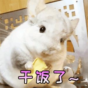 干饭表情包 - 知乎