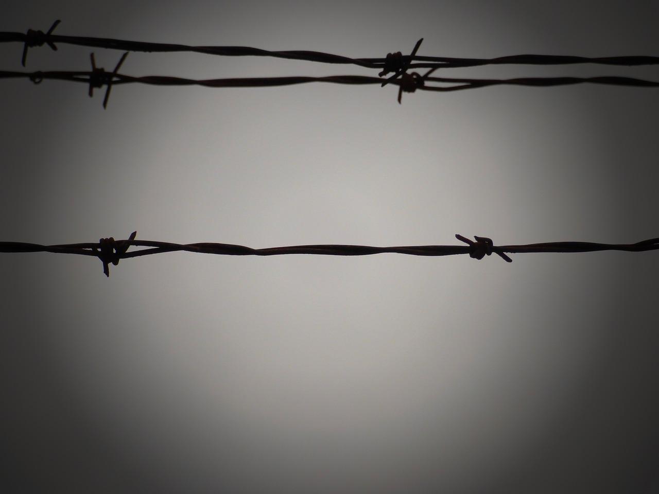 3. 定期检查维护