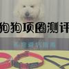 三种狗链 牵引绳的使用体验对比 知乎 三种狗链 牵引绳的使用体验对比 知乎