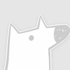 user-profile-image