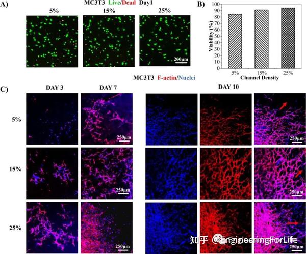 《Materials & Design》：水凝胶牺牲模板法结合3D打印定制具有通道网络的支架材料 - 知乎