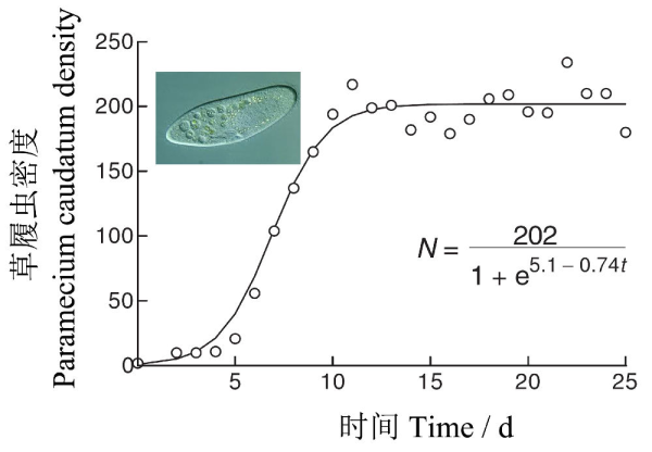 怎么从通俗意义上理解逻辑回归的损失函数?