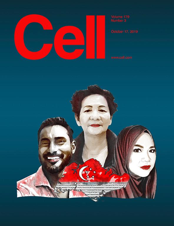 科学与艺术的结合！《CELL》100+张期刊封面鉴赏｜2019年篇 - 知乎