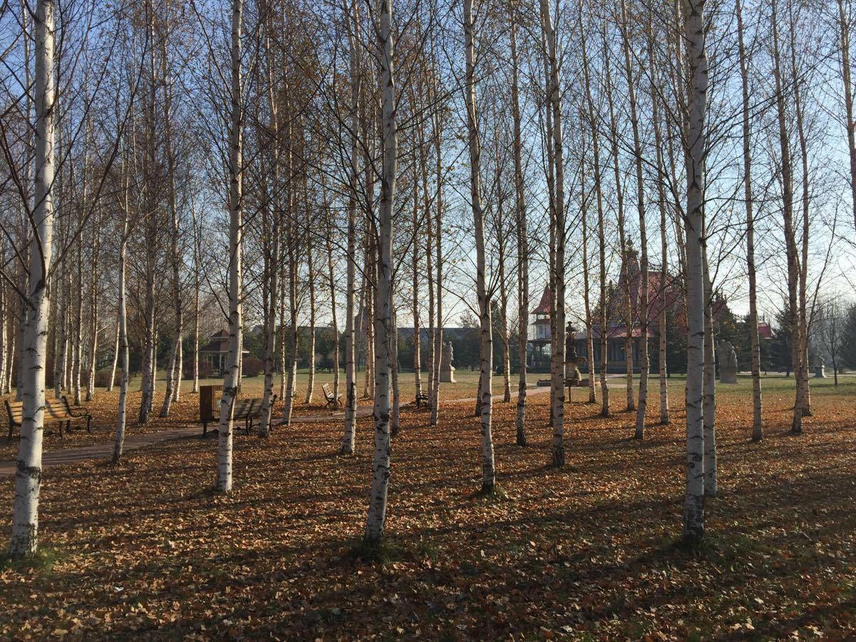 哈尔滨旅行有哪些攻略?有什么值得去的地方?-哈尔滨旅游有哪些攻略