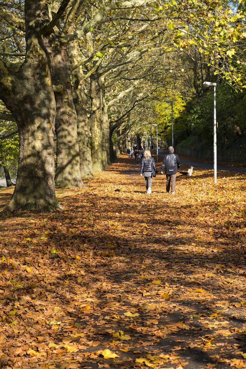 时代大道高架设施