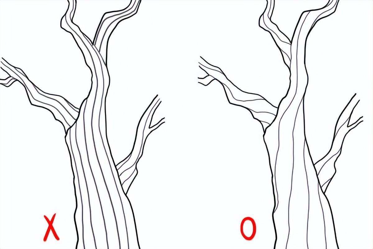 如何画树干和树枝?教你单独的树干画法教学! - 知乎