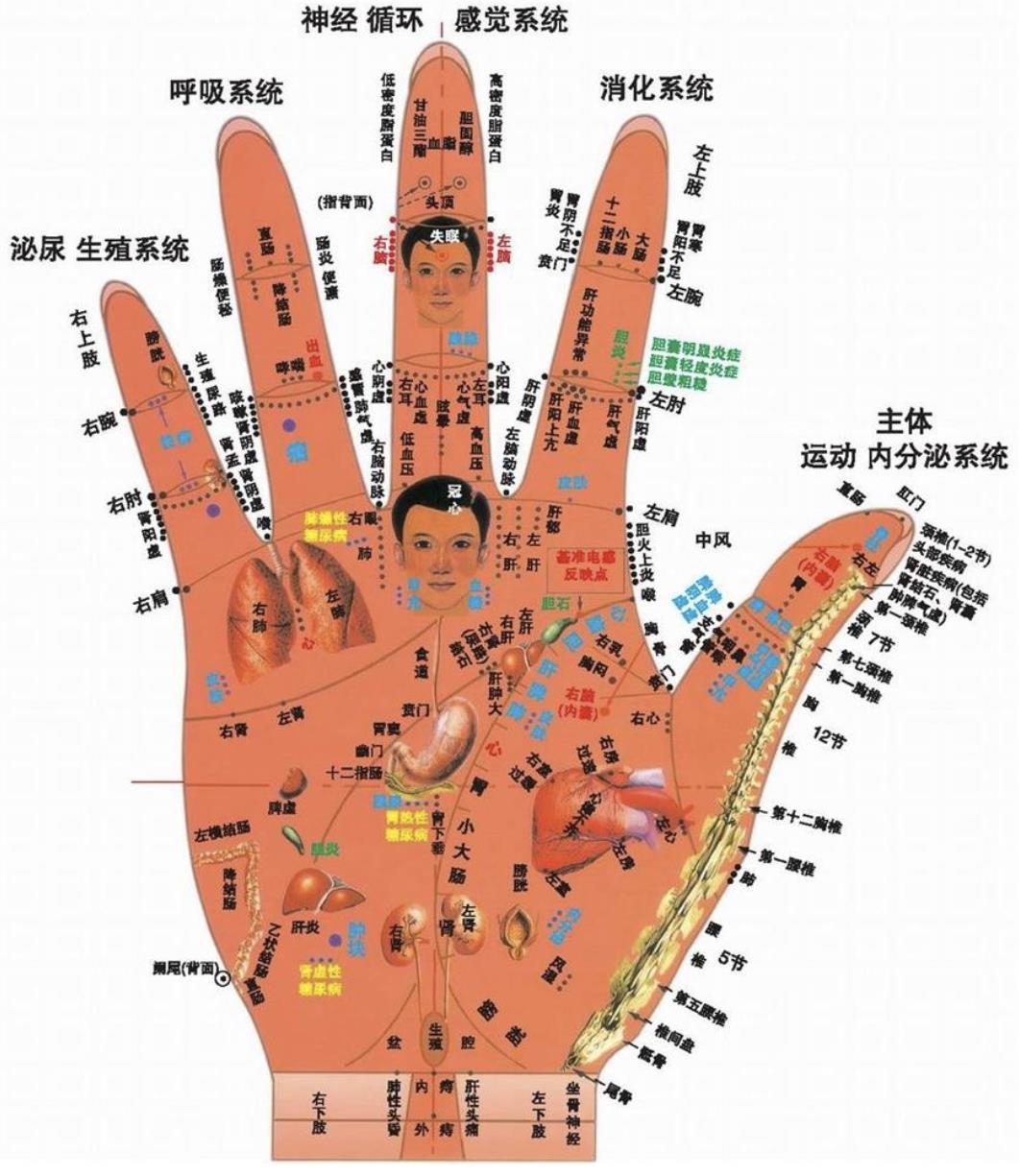 简单手诊,一学就会 - 知乎