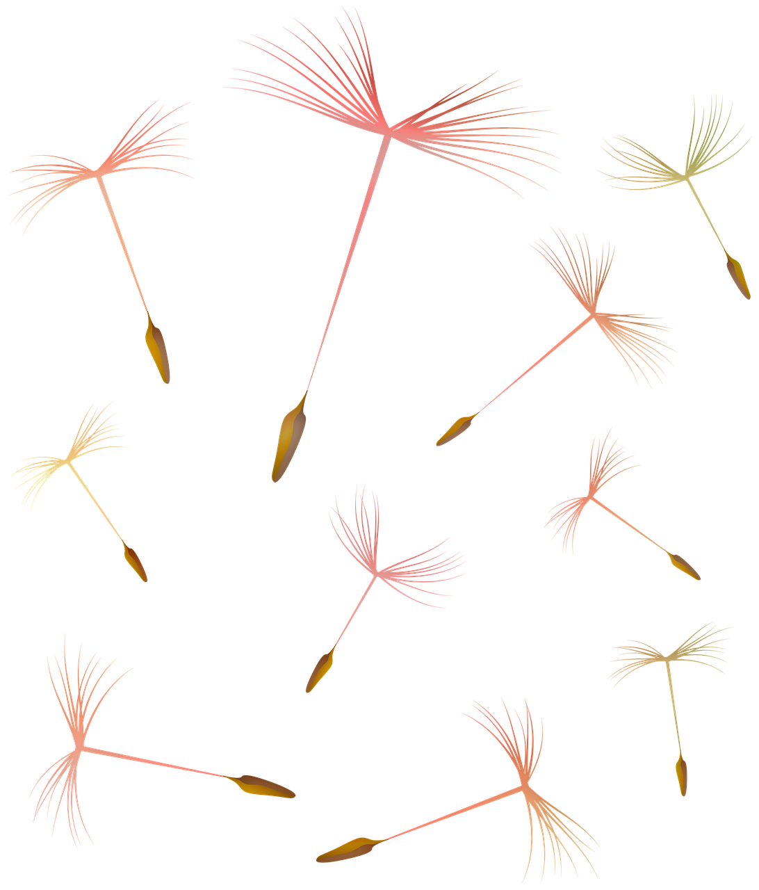 5. 专业除草技巧