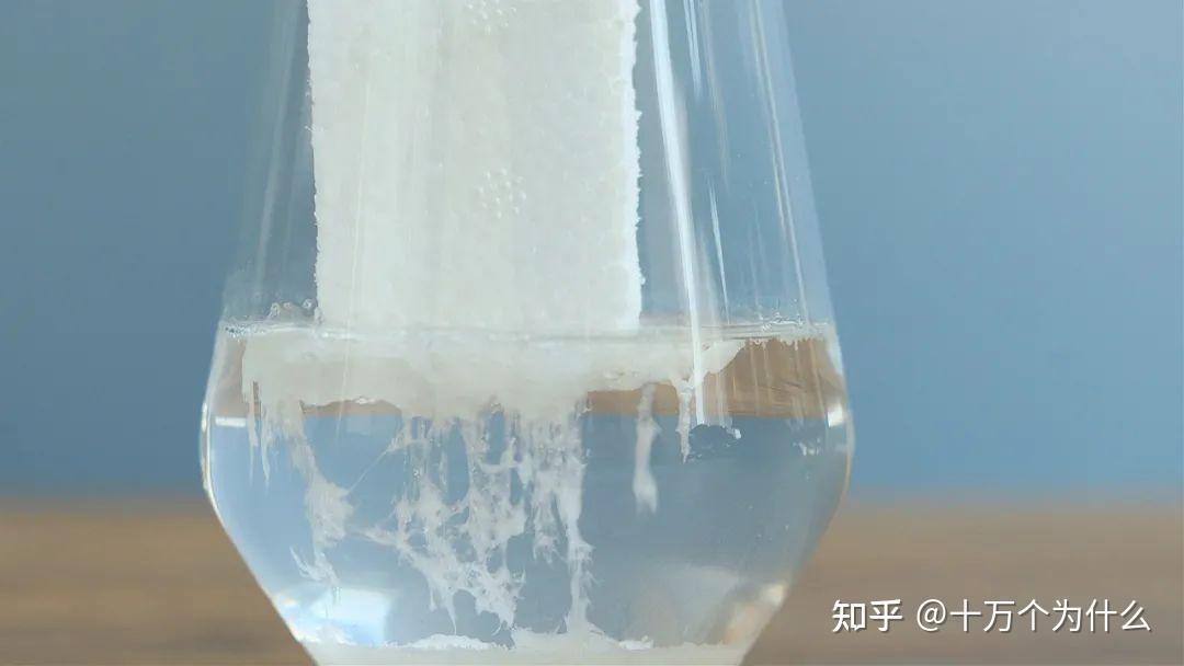 酒精能够溶解塑料泡沫吗为什么