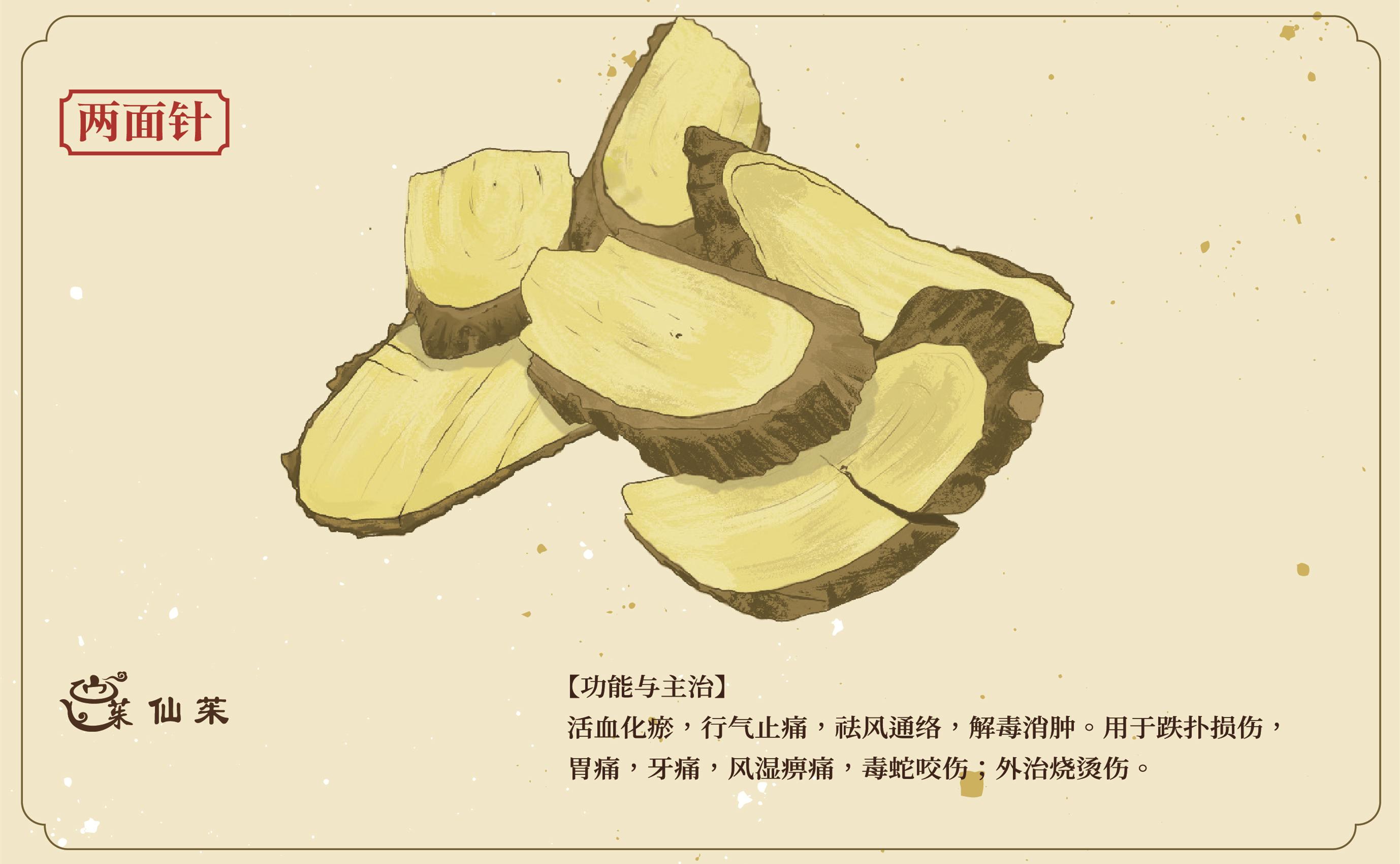 广西道地药材桂十味