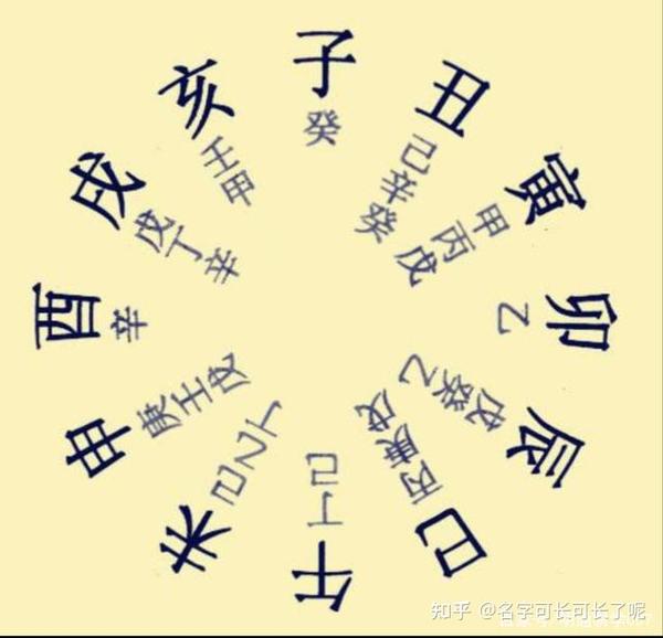 玄学基础知识:认识一下十二地支! - 知乎