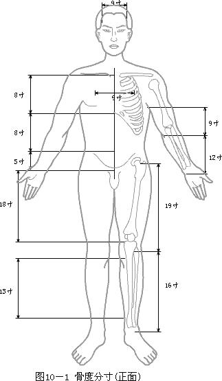 中医理疗推拿正骨针灸培训 腧穴的定位与骨度分寸