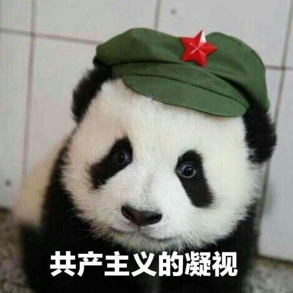 v2-5f113c2490c6c67c5614610d98f75097_r.jpg