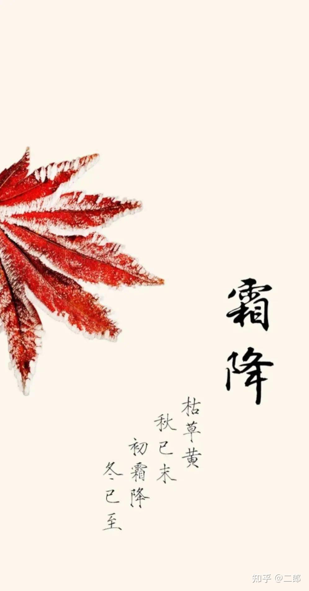 十二生肖霜降后爱情运势(霜降属什么生肖)