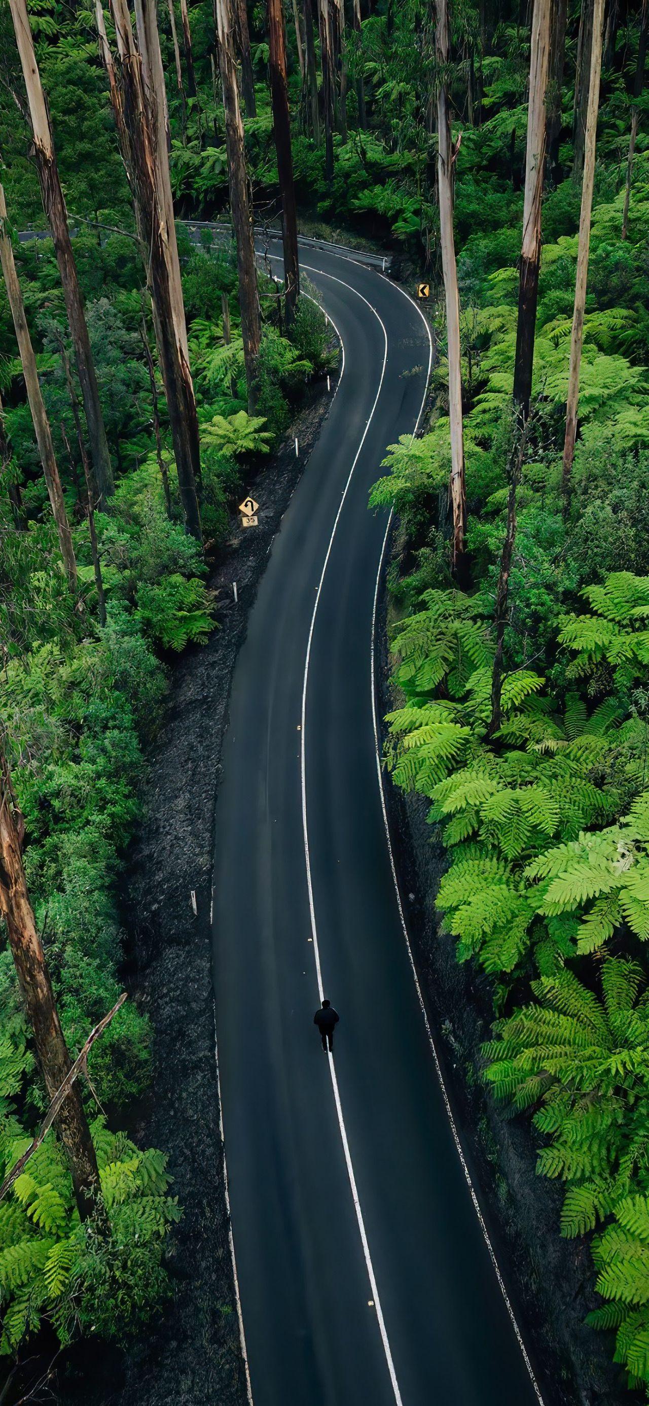 可以推荐一些壁纸嘛,没有水印的那种? - 知乎