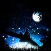 Zhihu profile picture for @horoscopes