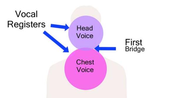 唱功揭秘:美妙的头声Head Voice | 穿透有力的高音秘诀! - 知乎