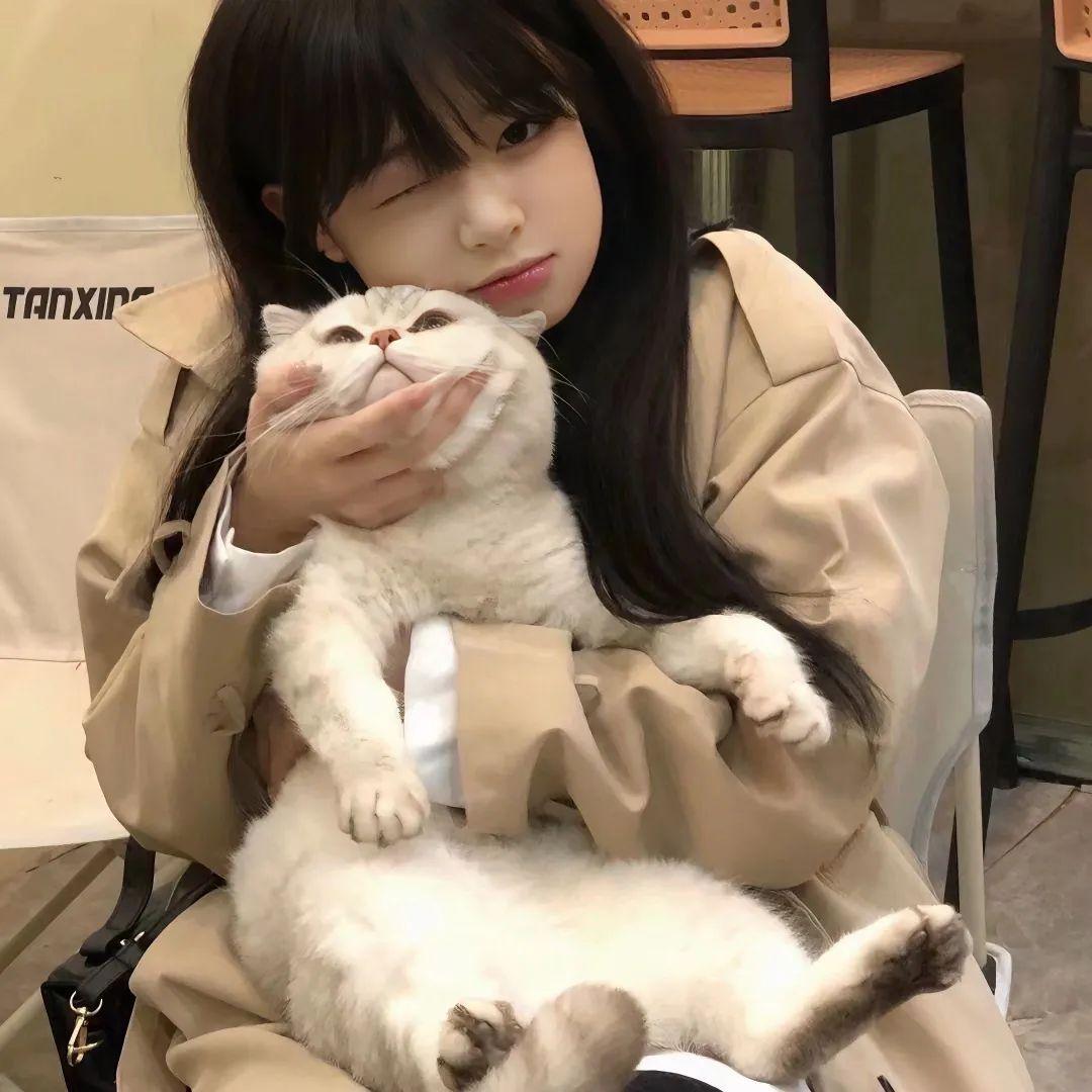 女生头像:抱猫猫的漂亮女生头像 - 知乎