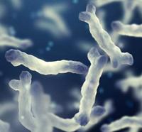 认识两歧双歧杆菌(Bifidobacterium bifidum)及其健康益处 - 知乎