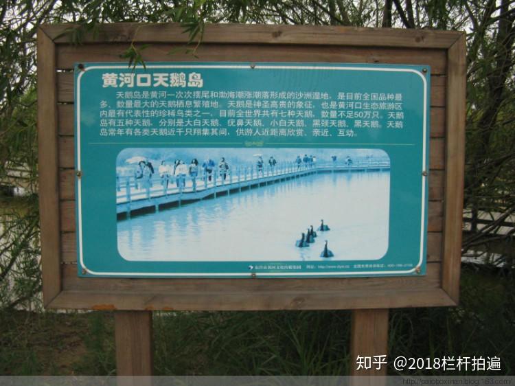 东营黄河入海口湿地公园