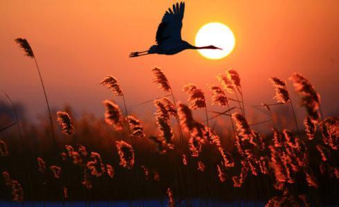 台湾老兵和妻子回到山东老家弟弟吓了一大跳三哥国家都追认你为烈士了