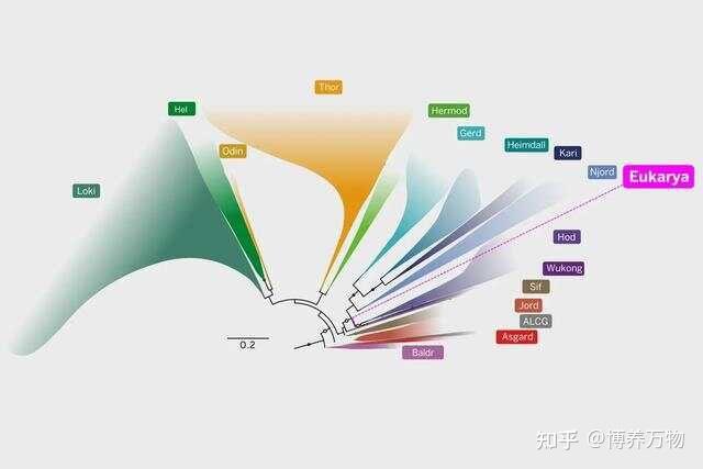 【古菌域全系列6】槽虫类:扯扯真核生物那些古老且冷门的界 - 知乎
