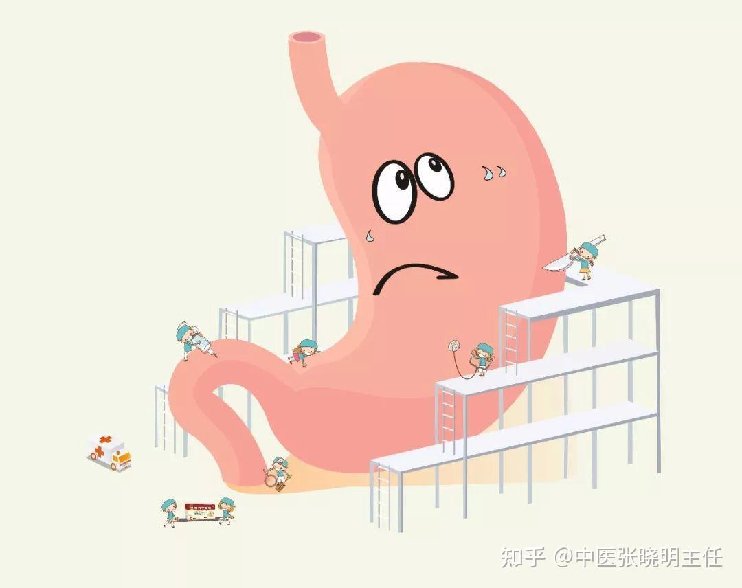 中医张晓明专家讲有胃病者越来越年轻化厌食呆滞可能跟胃部炎症有关系