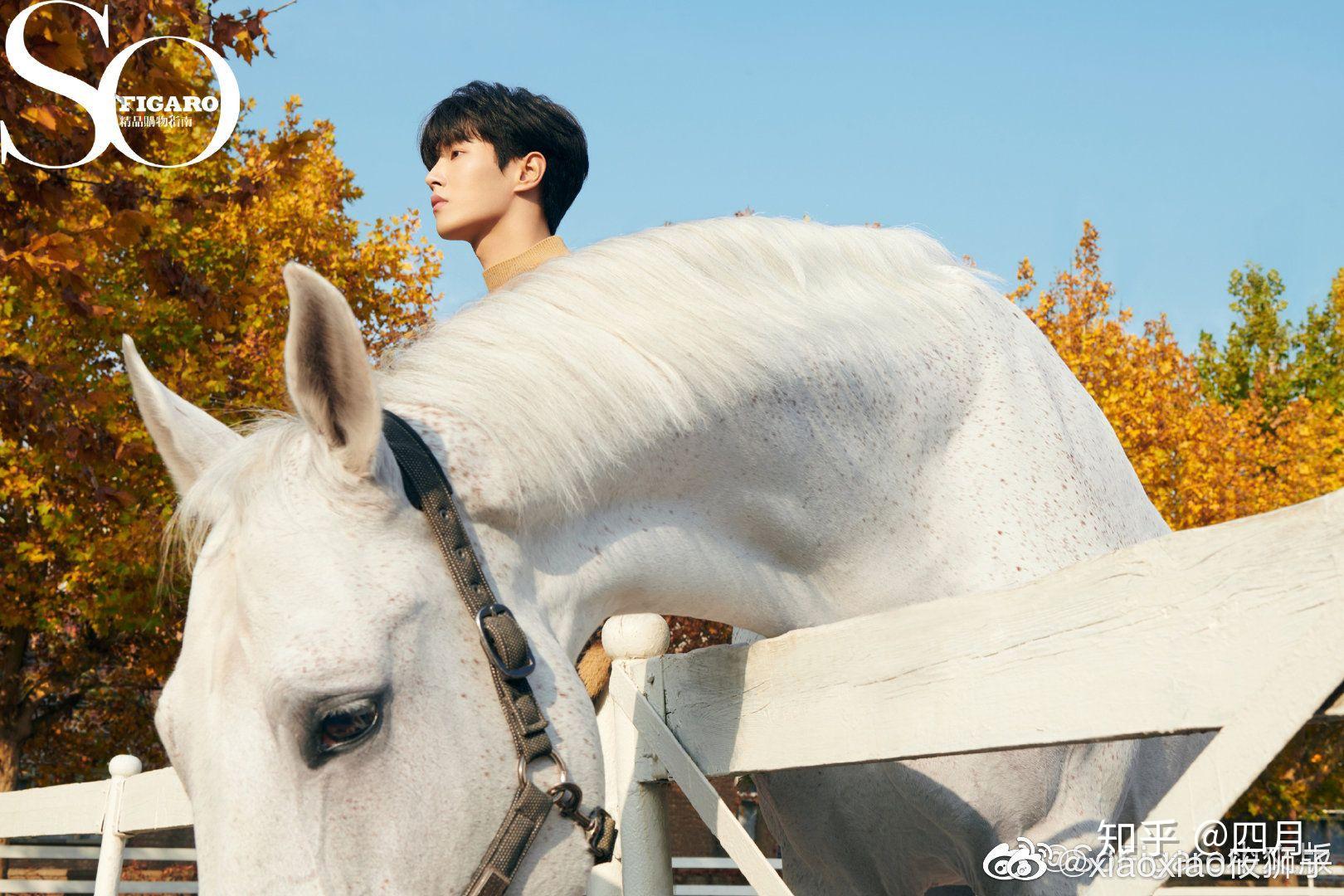 有没有李汶翰的电脑壁纸