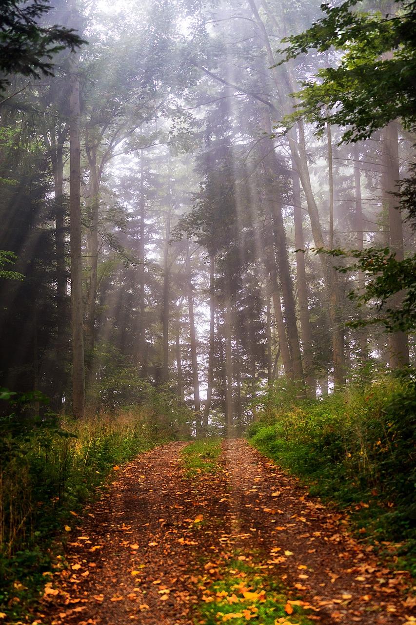 4. 葵巷中学周边