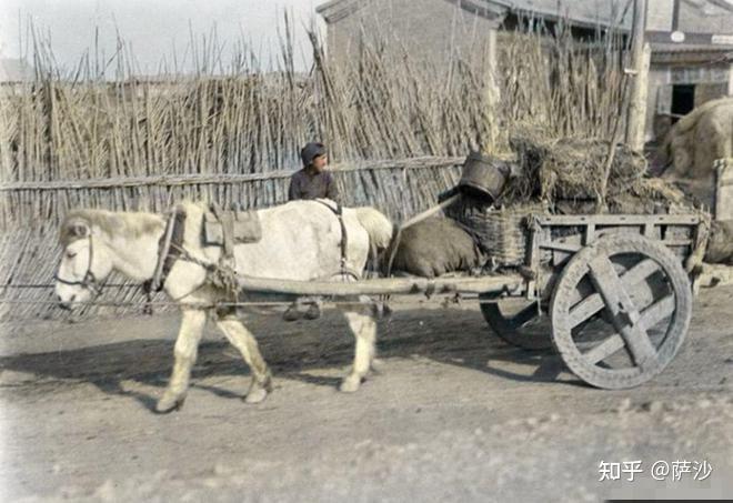 中国四轮马车图片图片