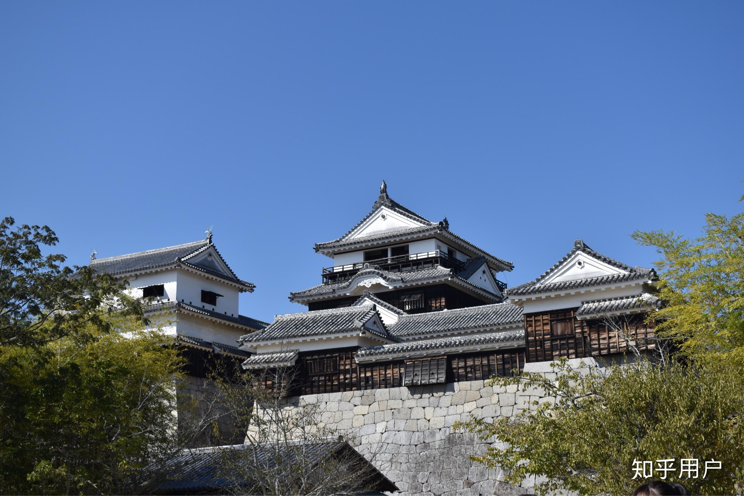 爱媛大学怎么样