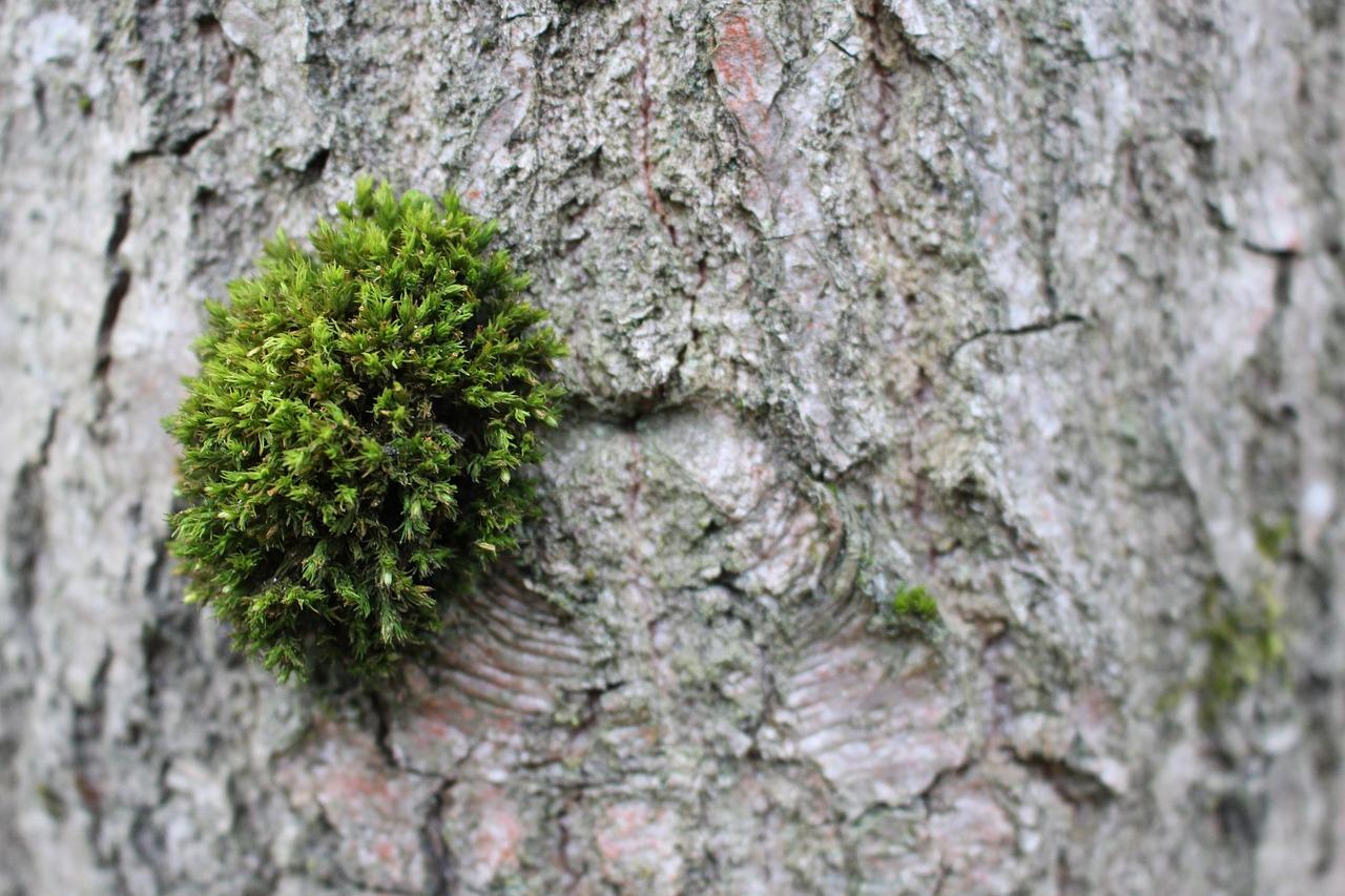 马路上躁音是多少
