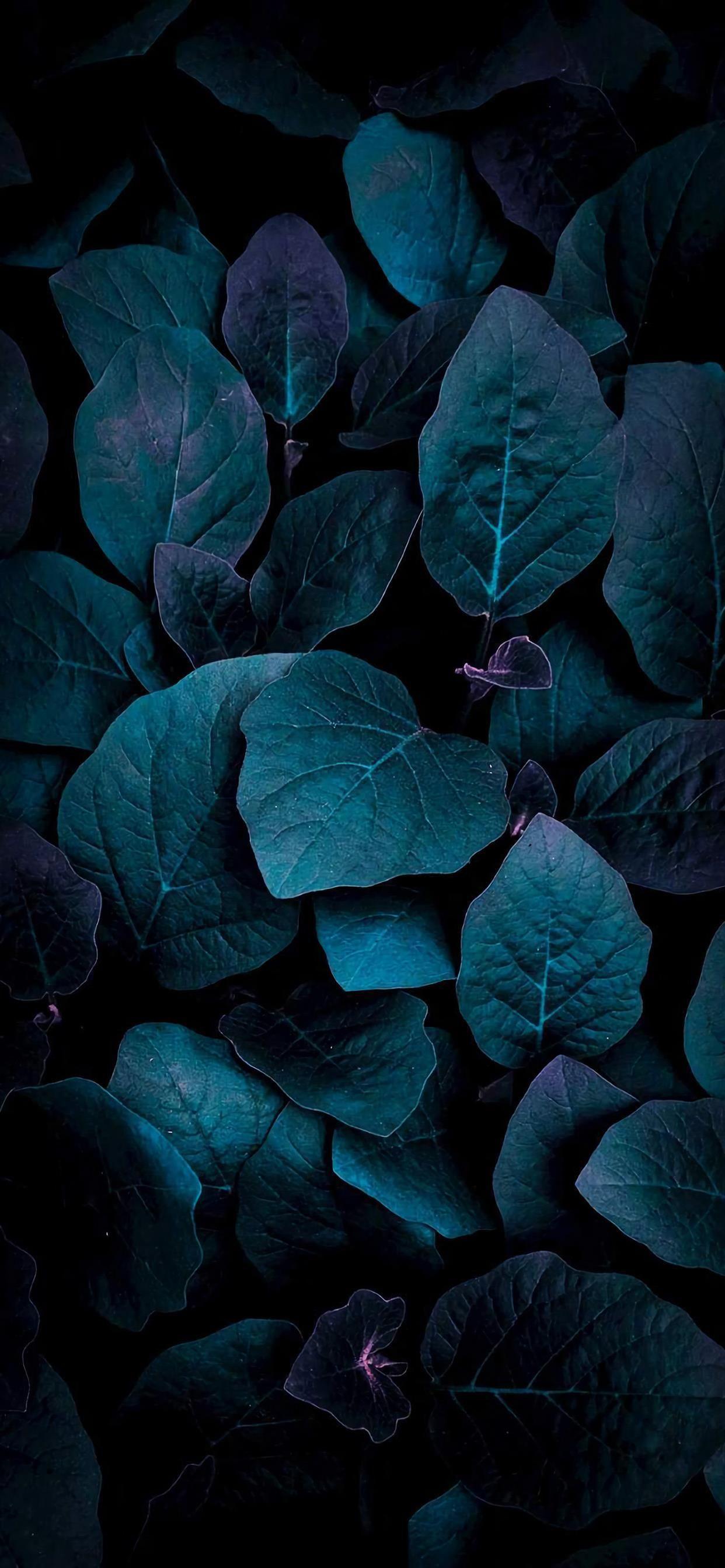 有哪些好看到爆的蓝色系壁纸?