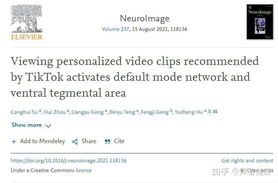 提升团队协作与创意展示的利器