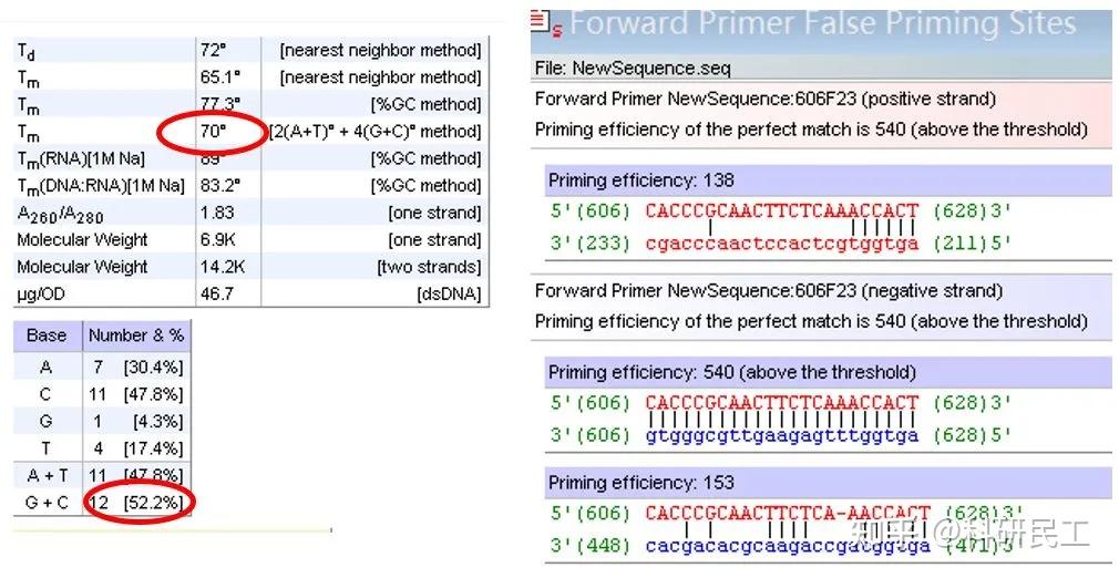 设计引物就用功能强大的Oligo7（含安装包） - 知乎