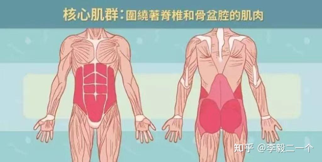 划船机该怎么选?家用划船机推荐:麦瑞克mr950划船机亲测!