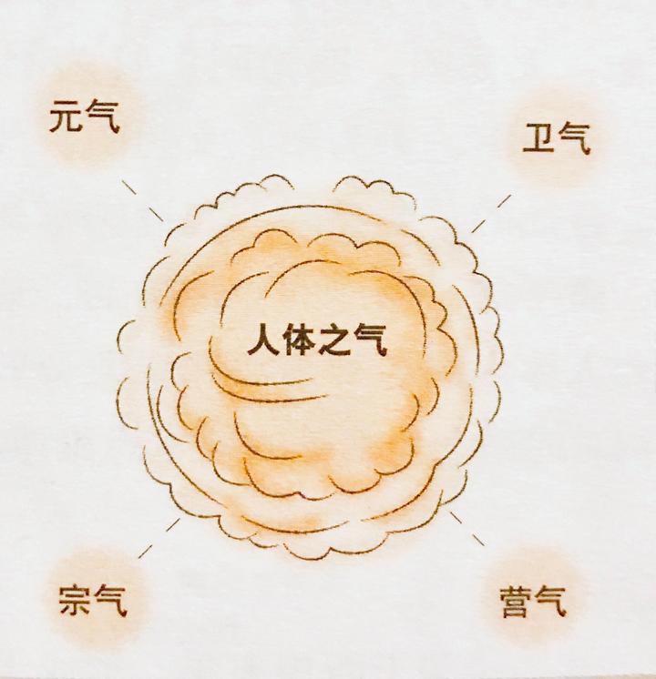 经络与气(一)何谓气 知乎