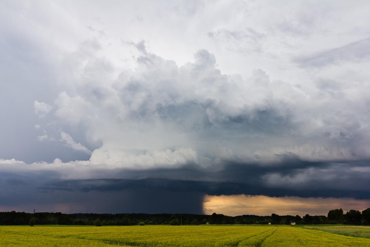 2. 开具流程指南