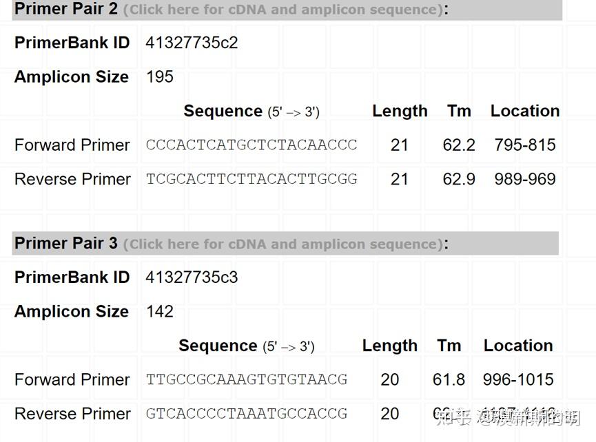 PCR引物序列查询 知乎