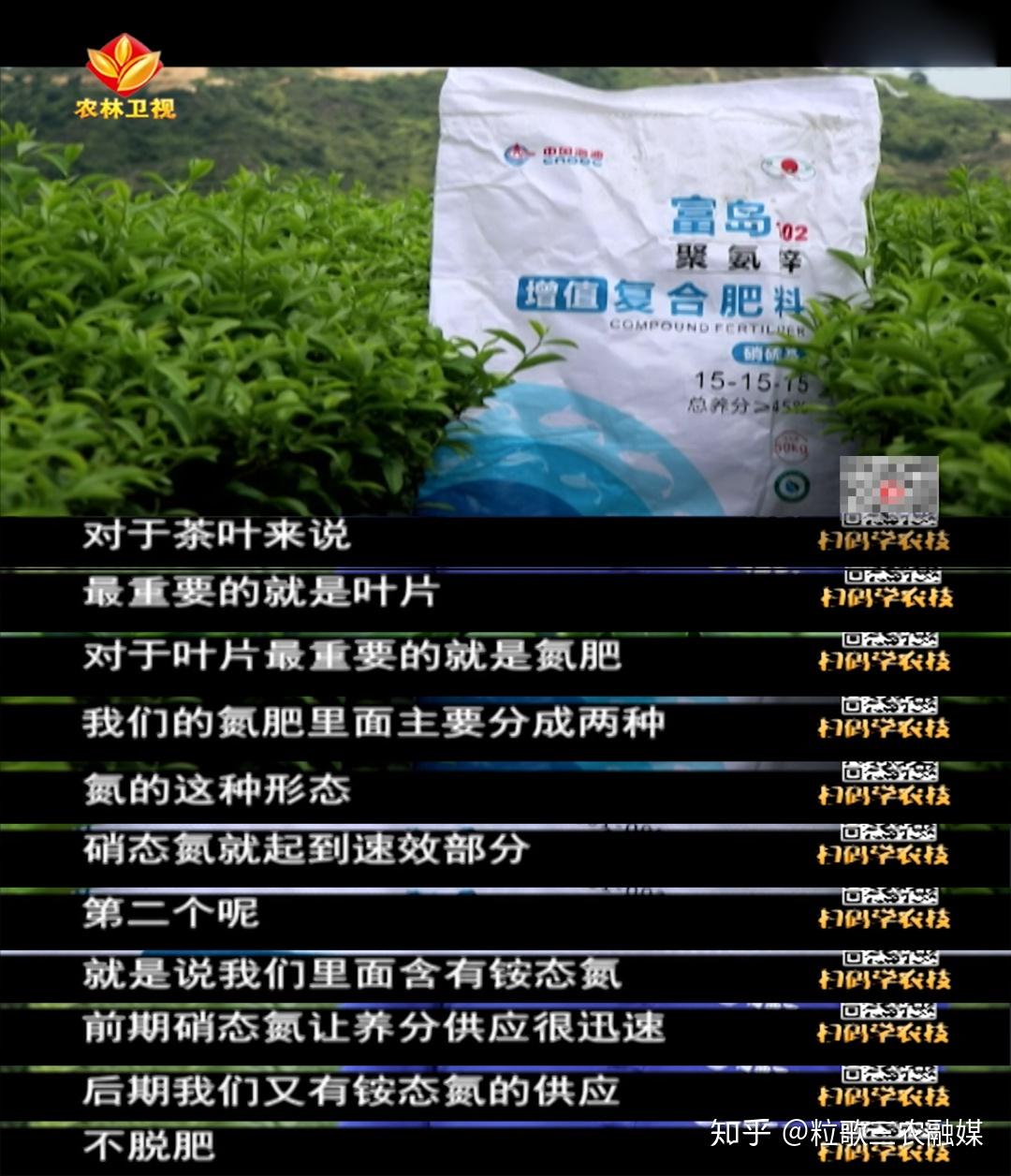 富岛翔燕中国化肥增值行动这位茶农如何拼出100万元