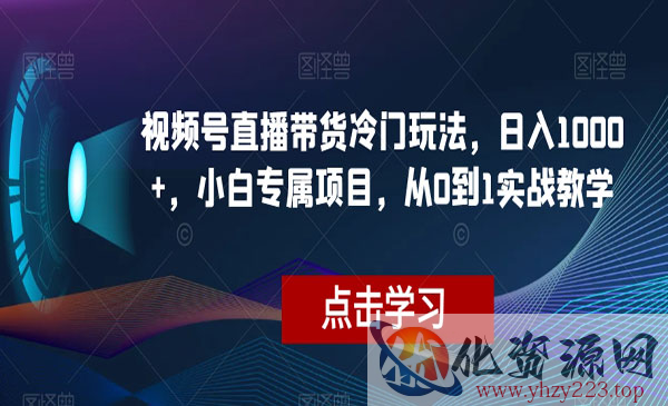 《视频号直播带货冷门玩法》日入1000+，小白专属项目，从0到1实战教学_wwz